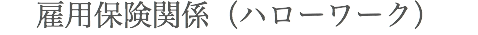 雇用保険関係（ハローワーク）